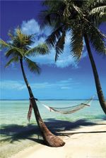 Hammock