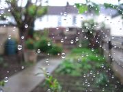 Light Shower