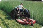 Brush Cutting