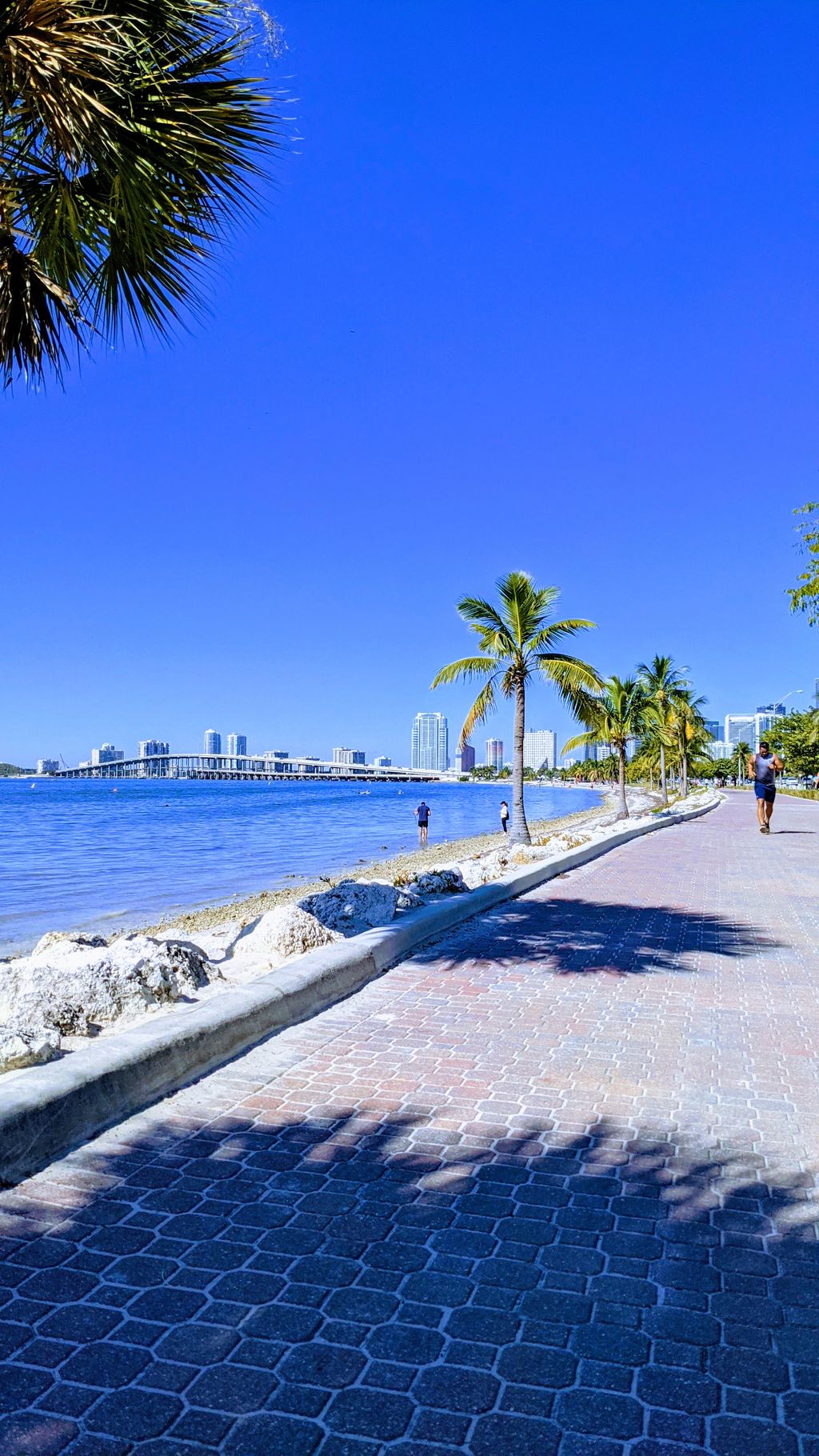 Key Biscayne Trail